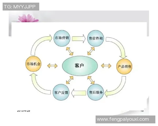 深入分析BLG的运营策略与市场表现的成功之道