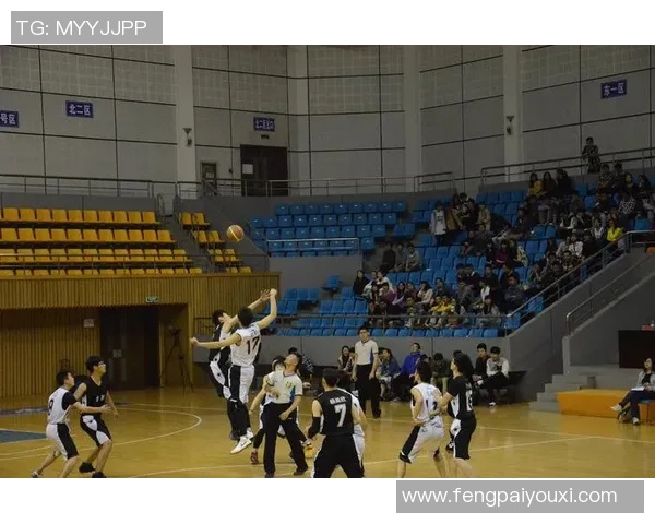 杨强独家分享篮球心得与技巧提升之道助你成为球场明星