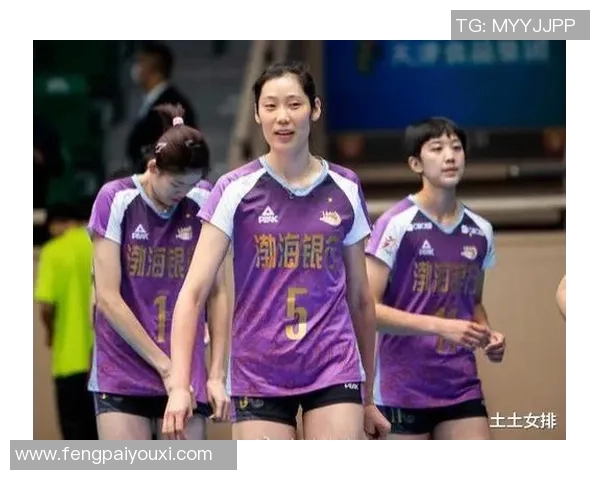 武汉排球队实力深度解析与其他球队的对比分析